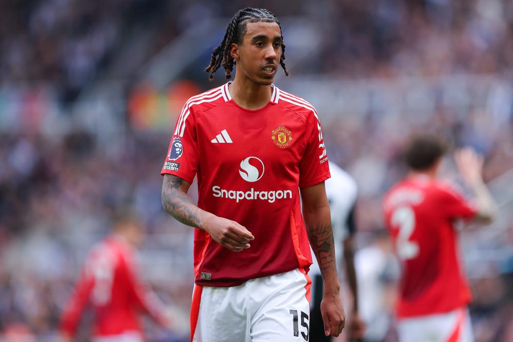 作为球迷 作为球迷